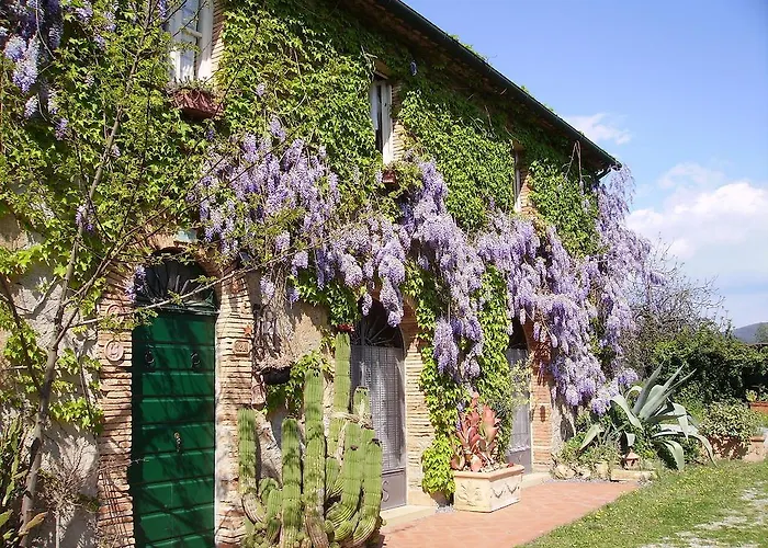 Agriturismo La Leccia Bibbona